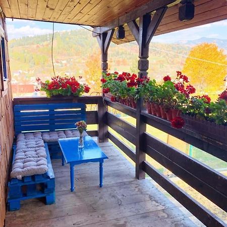 Borşa Casuta Marieiヴィラ エクステリア 写真