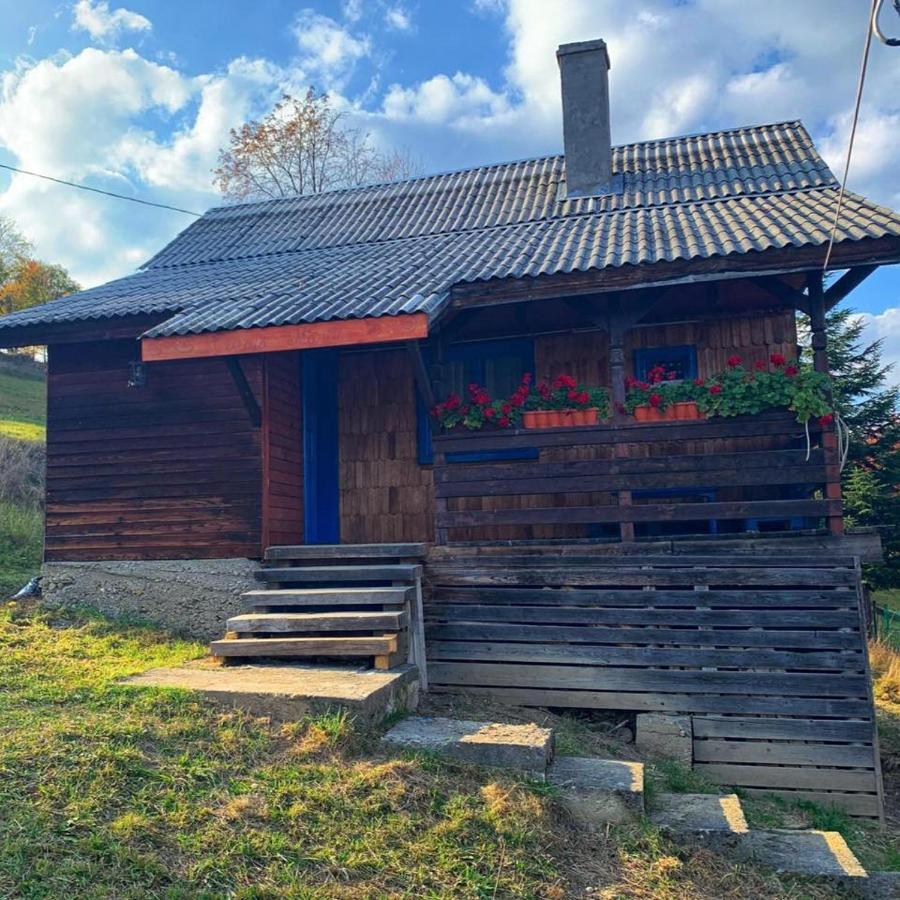 Borşa Casuta Marieiヴィラ エクステリア 写真