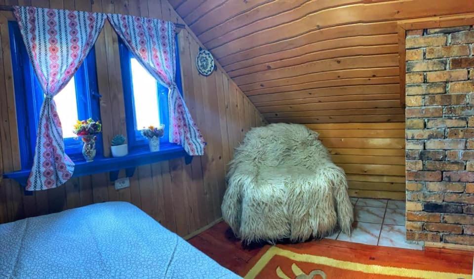 Borşa Casuta Marieiヴィラ エクステリア 写真