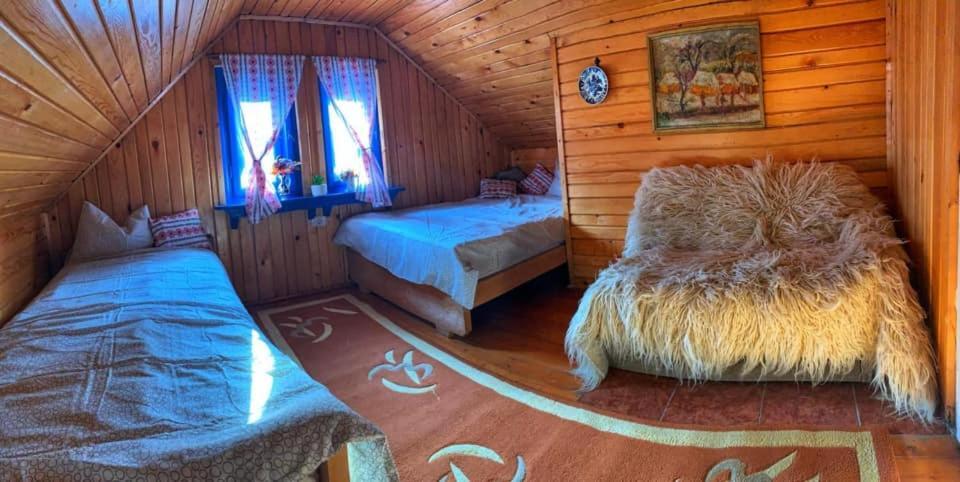 Borşa Casuta Marieiヴィラ エクステリア 写真